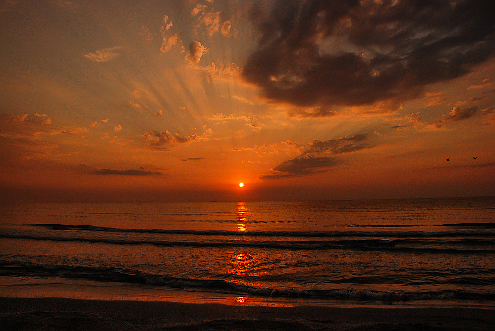 morning at the Black Sea