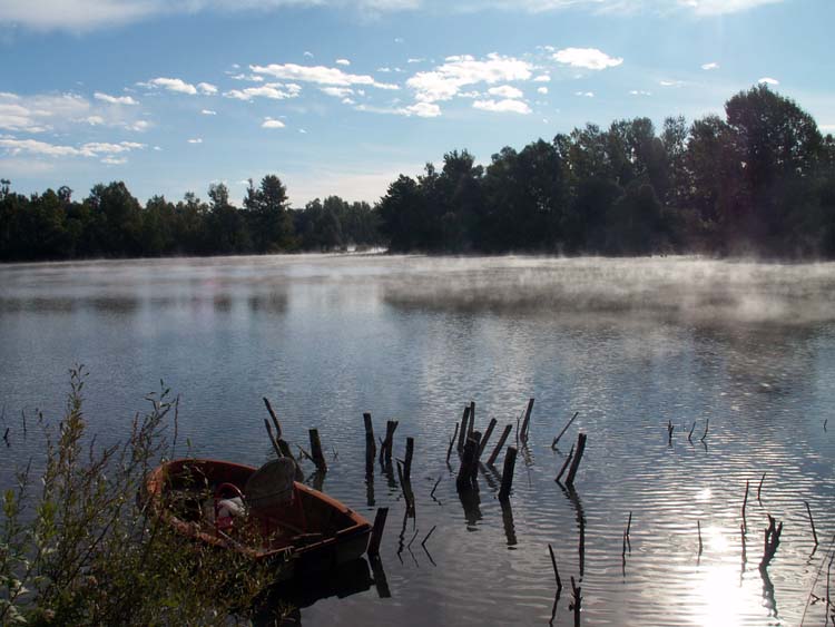 Morning at the fish pond