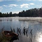 Morning at the fish pond