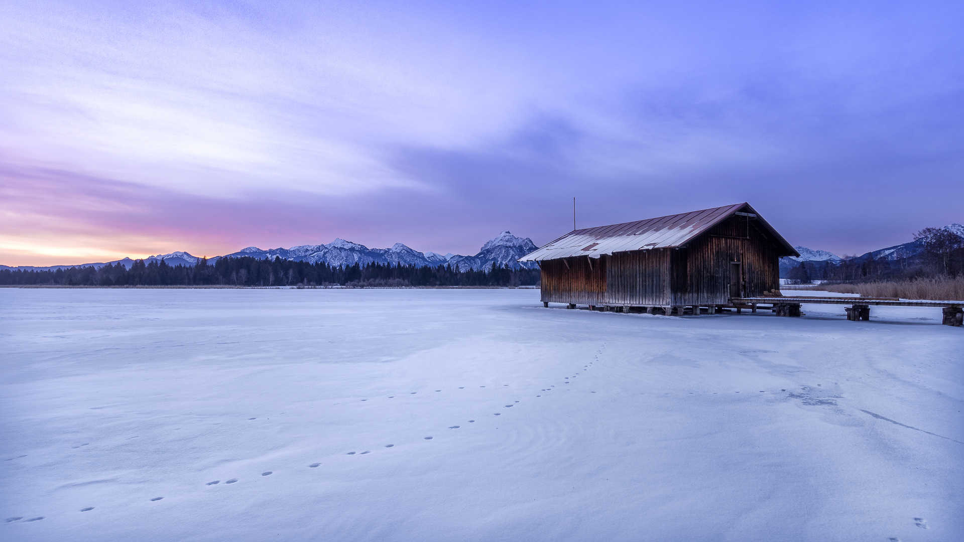 Morning at the frozen lake