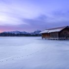 Morning at the frozen lake