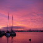 Morning at the Harbour