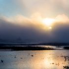 Morning at The Lake