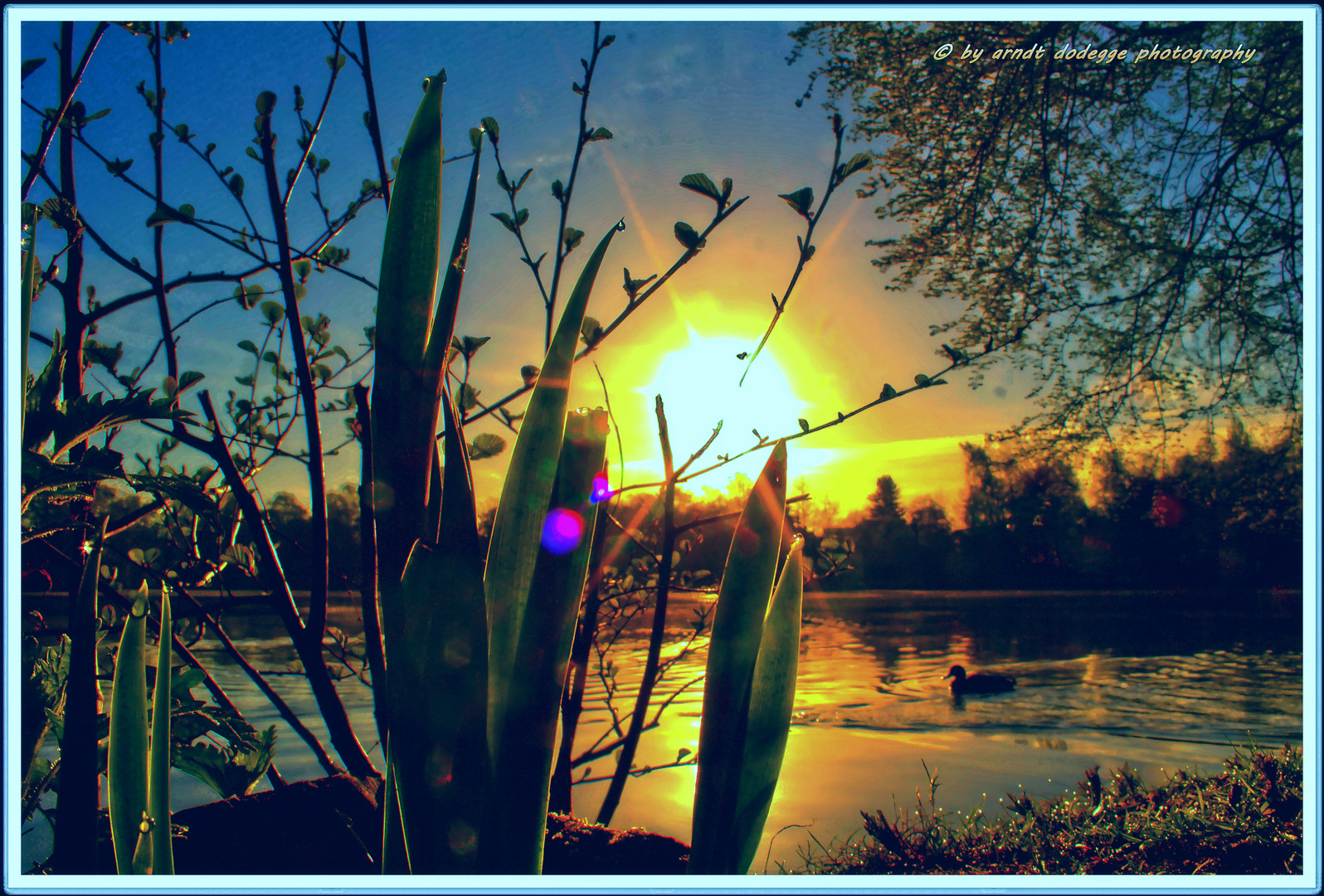 Morning at the lake