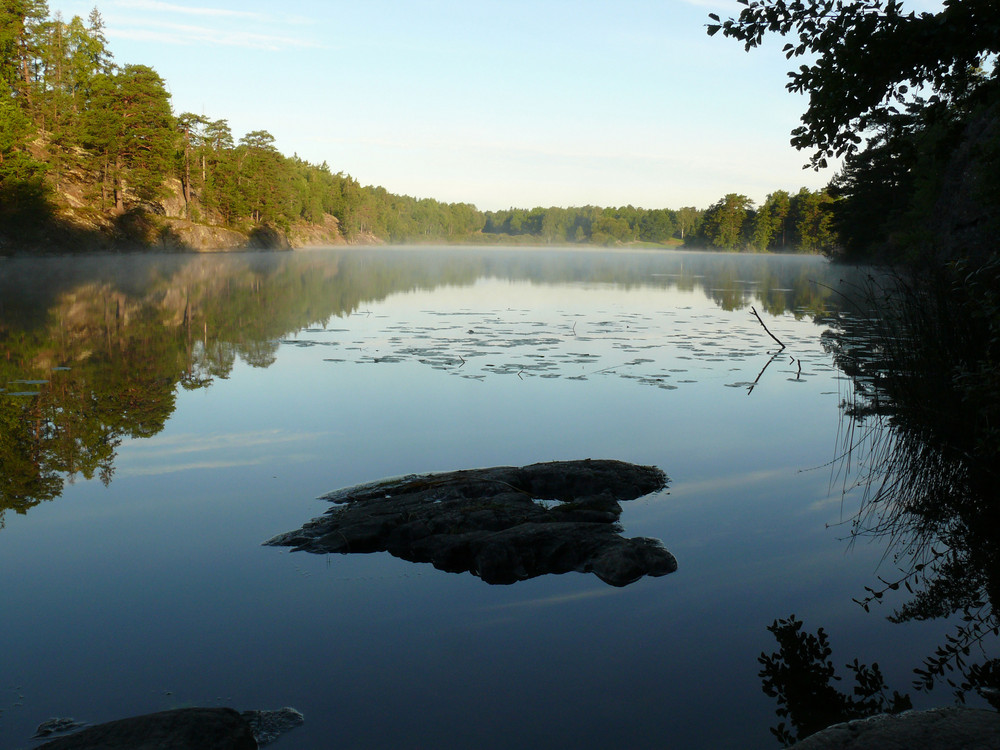 Morning at the lake