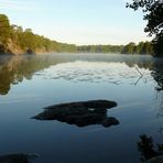 Morning at the lake