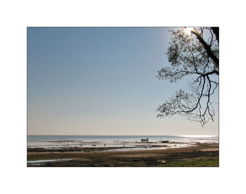 Morning at the lake of Peipsi