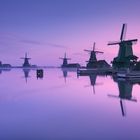 Morning at windmills