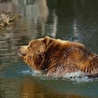 morning bath