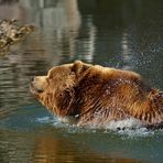 morning bath