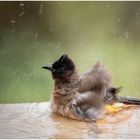 morning bath