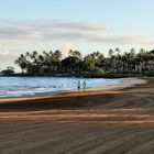 Morning Beachwalk