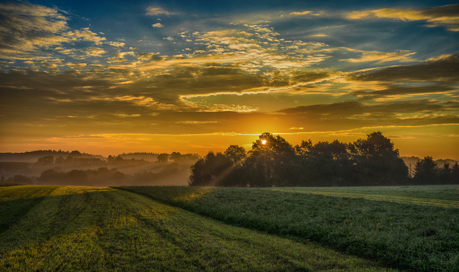 Morning Beam