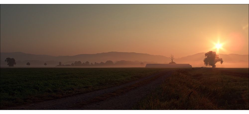 Morning behind my house...