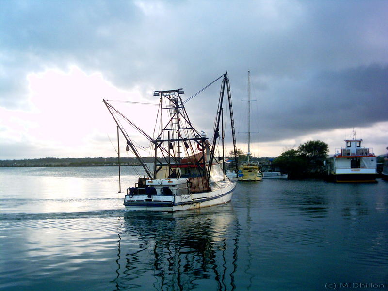 Morning Calm ; trawler heading out at first light