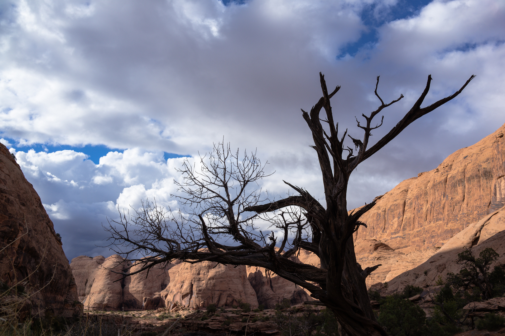 Morning Canyon Utah