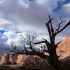 Morning Canyon Utah