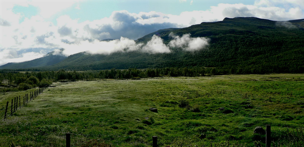 Morning clouds