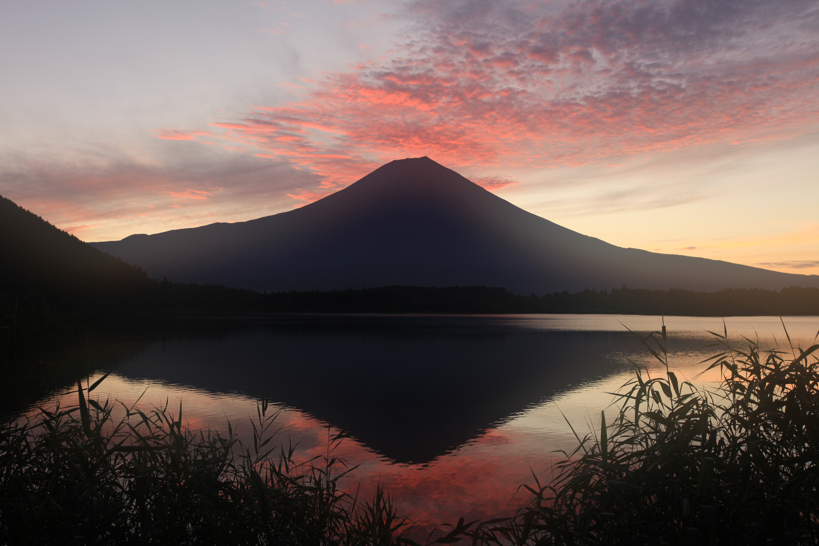 Morning Clouds over Mt. Fuji