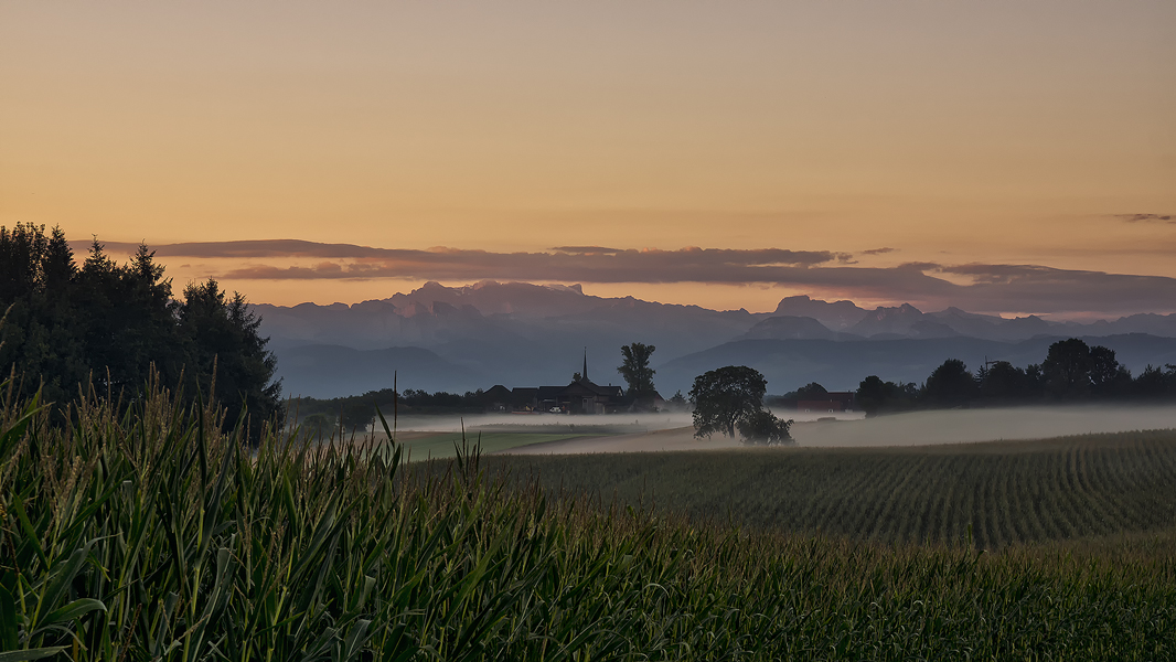 morning colours