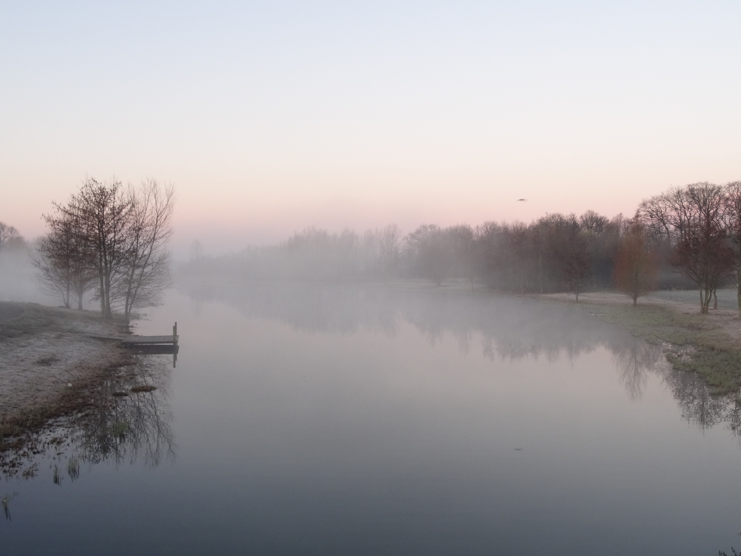 morning dream Foto & Bild nebelstimmungen, wetter, landschaft u