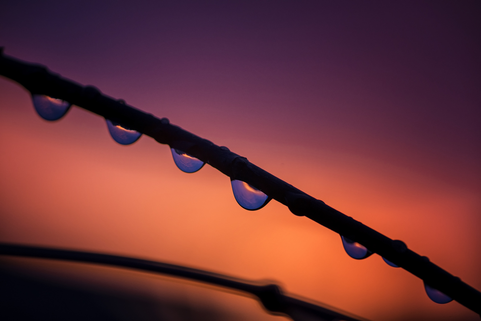 Morning drops 2