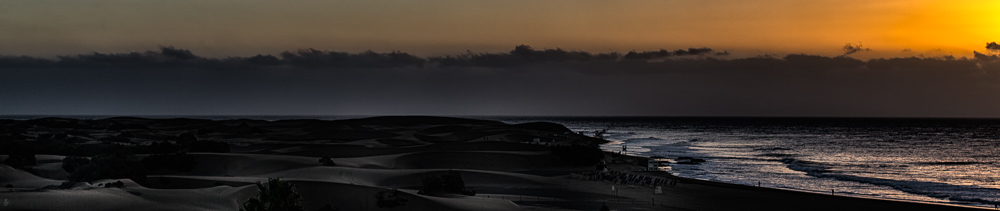 morning dunes