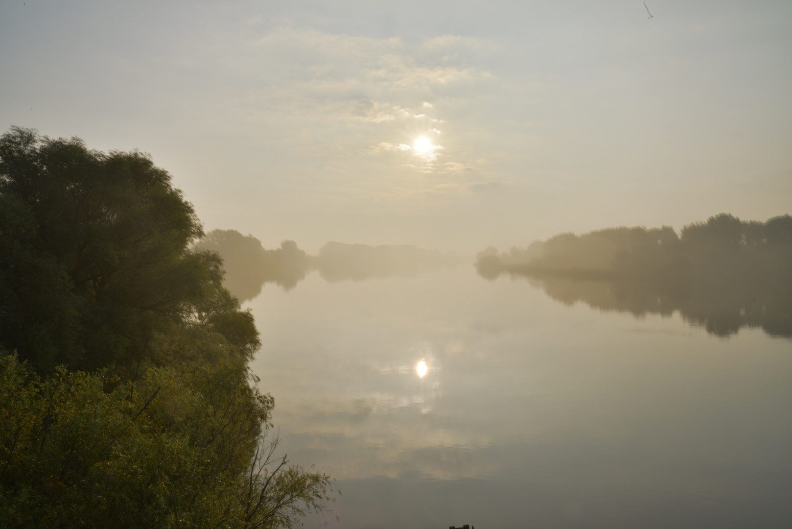 Morning - Elbe