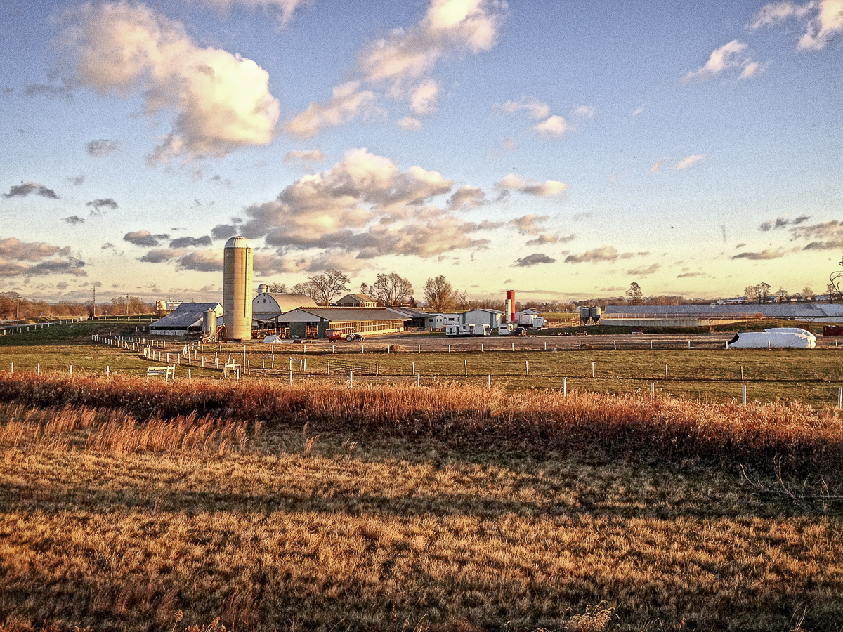 Morning farm landscape