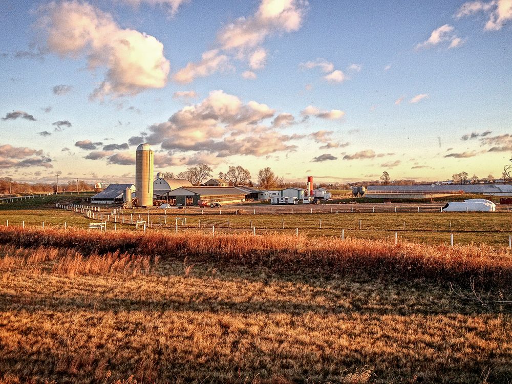 Morning farm landscape