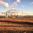 Morning farm landscape