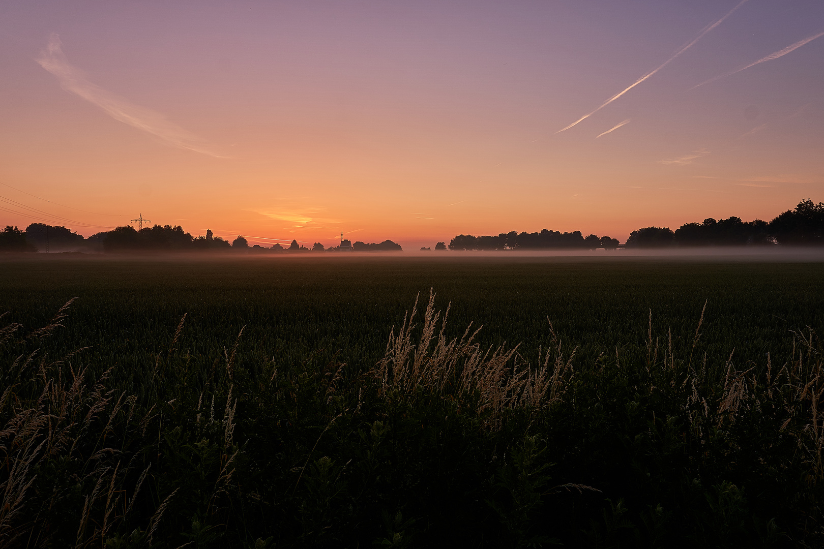 morning feld fog