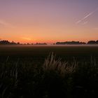 morning feld fog