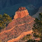 Morning Fire...Grand Canyon