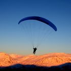 Morning flight over golden mountain