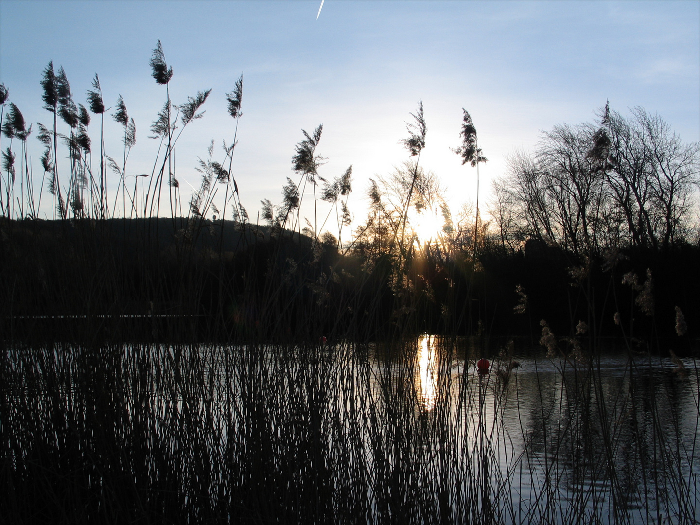 morning-fly over the see