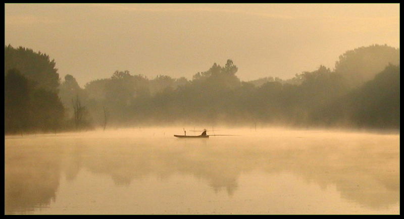 morning fog