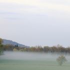 Morning fog