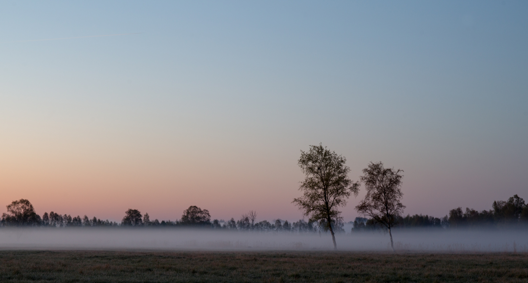 morning fog 