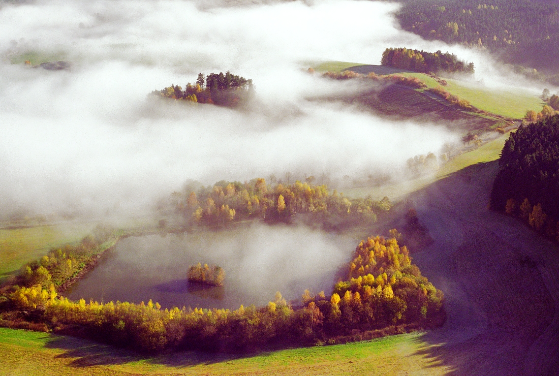 Morning fog