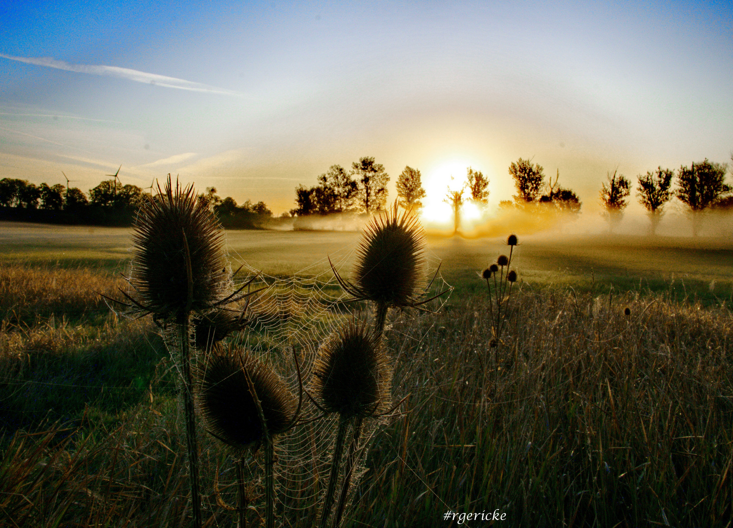 morning fog