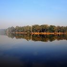 morning fog angkor