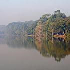 morning fog angkor