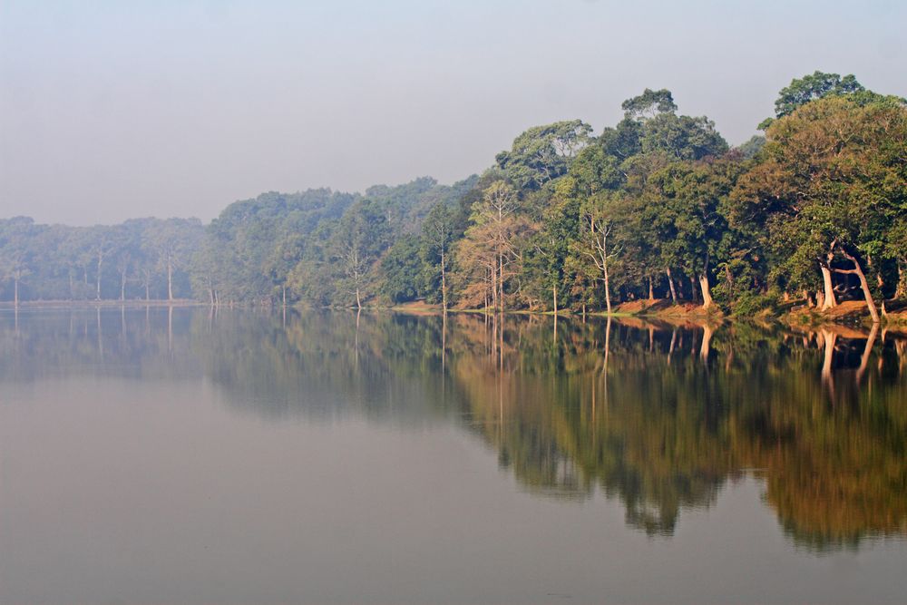 morning fog angkor