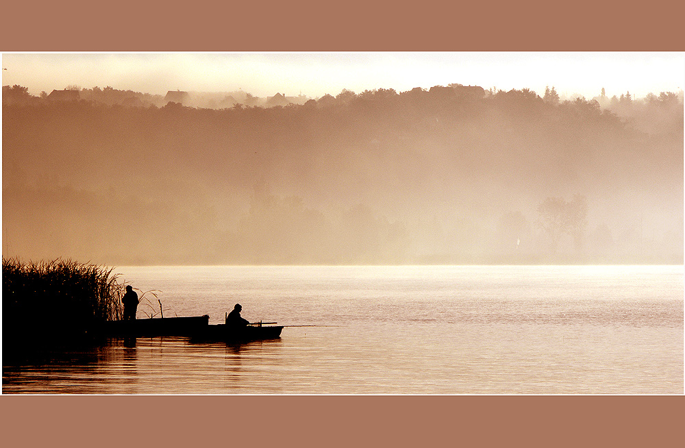 Morning Fog