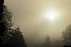 Morning Fog Illumination