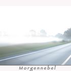 * morning fog . . . Morgennebel *