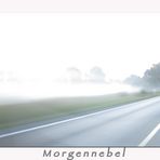 * morning fog . . . Morgennebel *