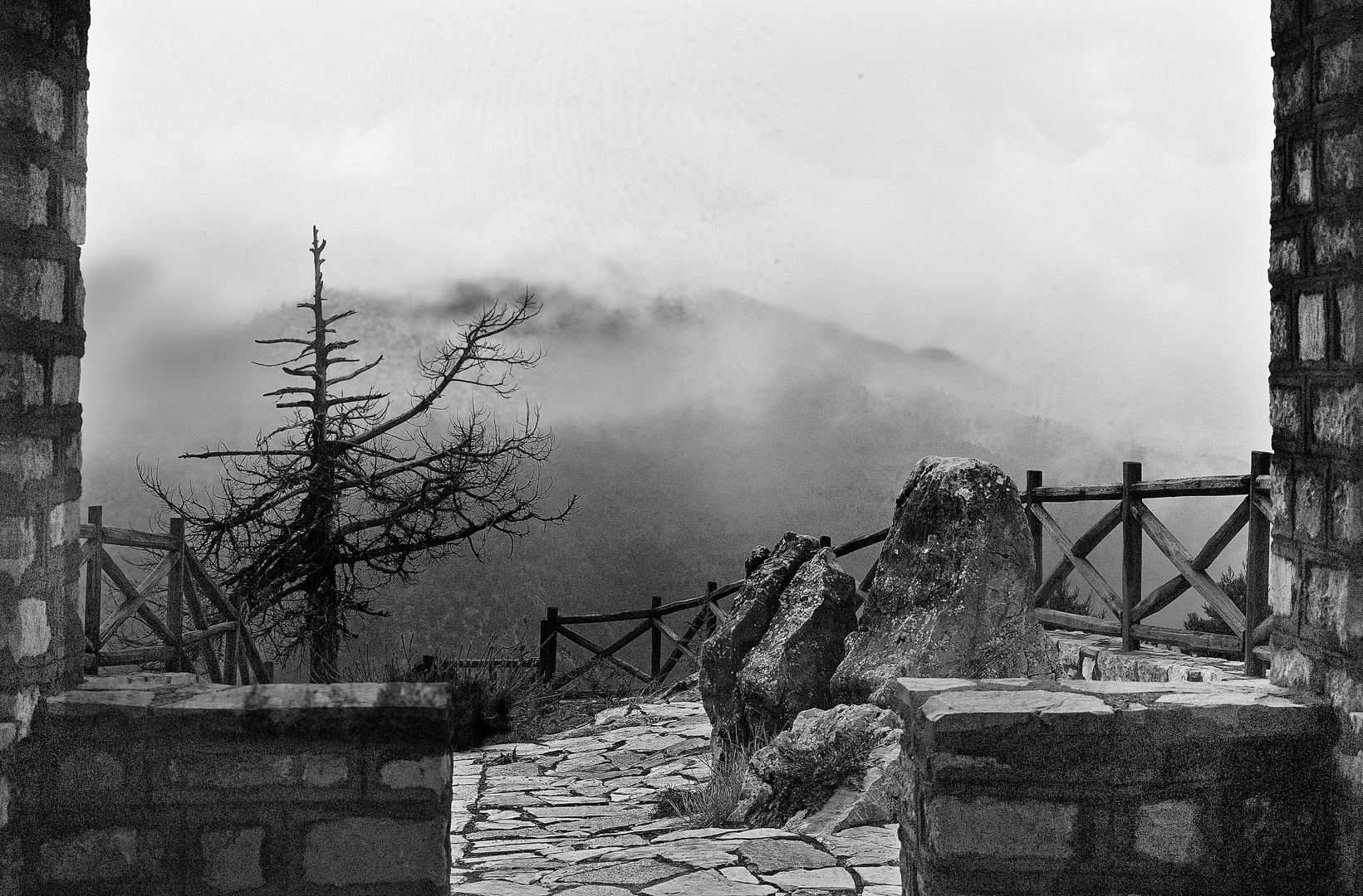 Morning fog over the mountains