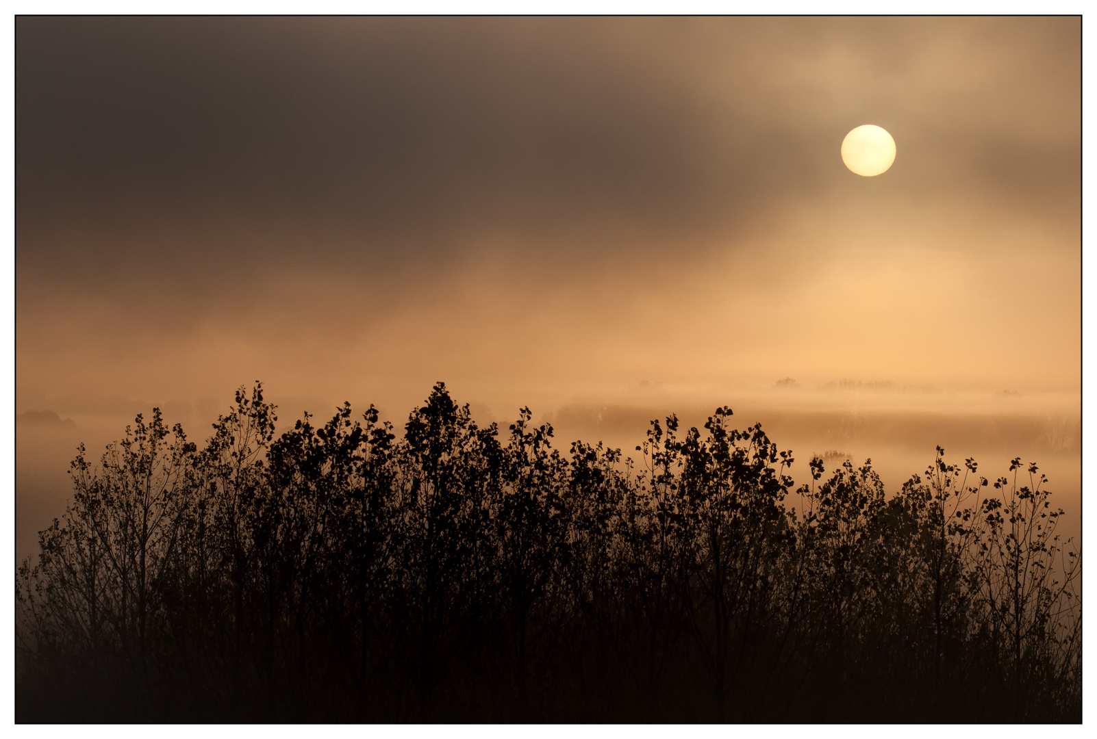 Morning Fog#2